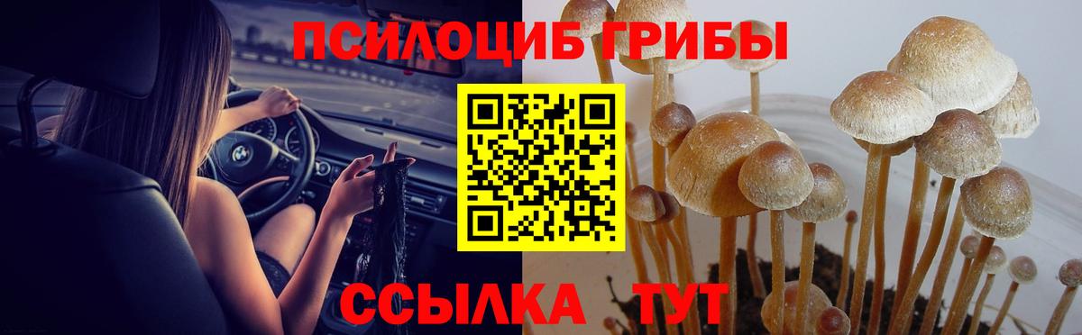 Галлюциногенные грибы ЛСД  Вход с VPN  Богородск  хочу наркоту  Псилоцибиновые грибы ЛСД 